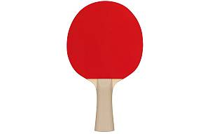 Σετ 2 Ρακέτες Ping Pong & 3 Μπαλάκια Recreational