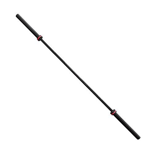 Μπάρα Cross Fit 2,2m 20kg Φ50 με ρουλεμάν C-4M (Viking)