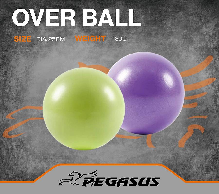 Pegasus® Μπάλα Γυμναστικής Pilates 25cm (Μωβ)