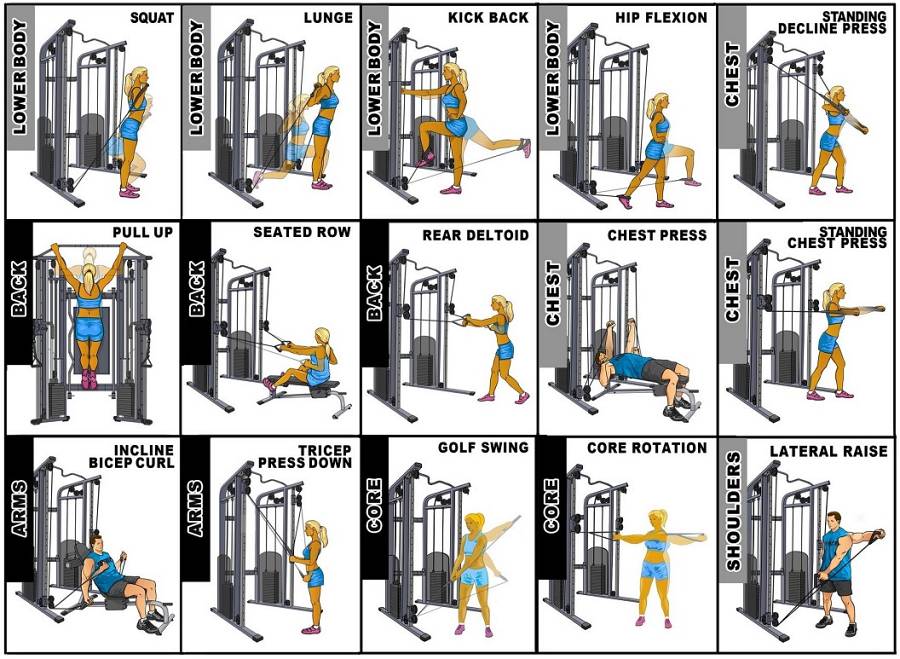 Pegasus® Functional Trainer Pro