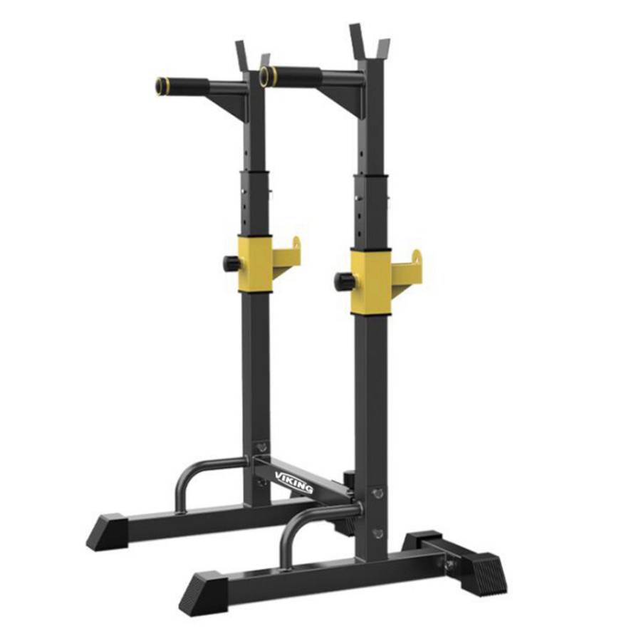 Viking SR-22  Stand and Dip Station