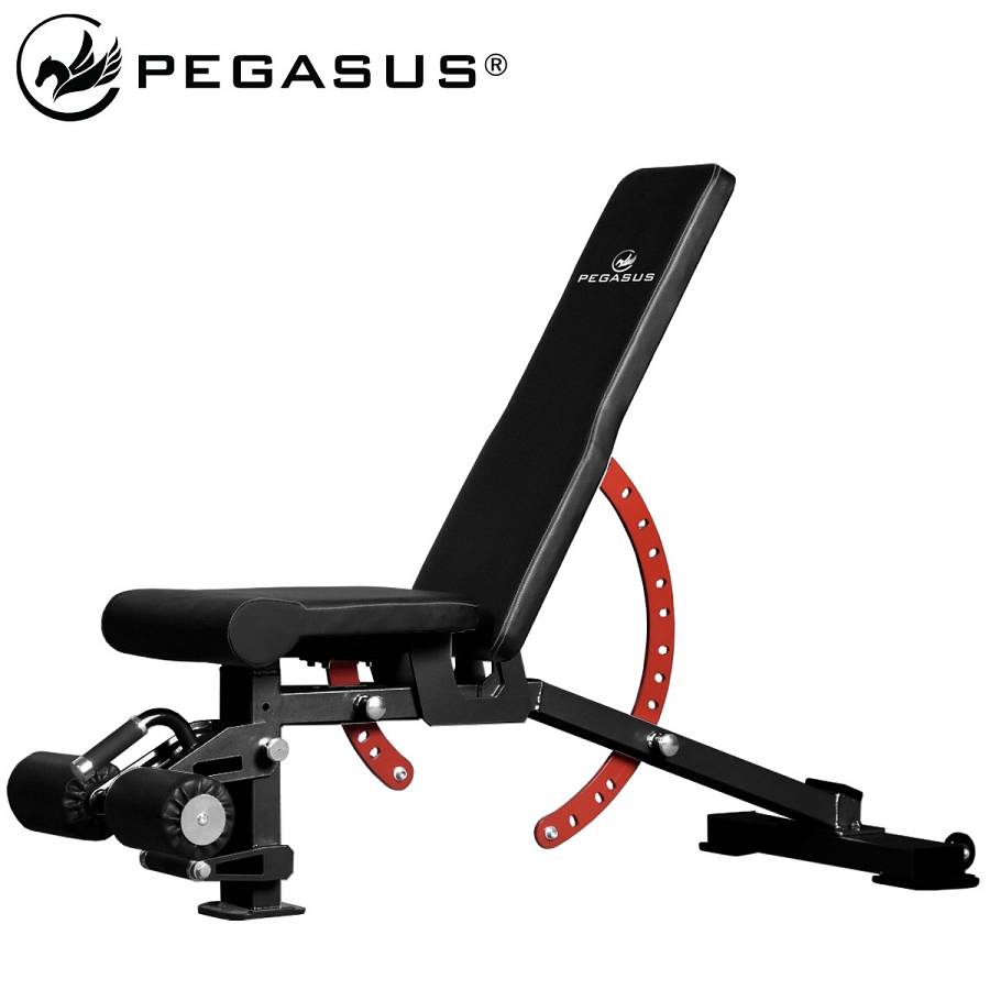 Pegasus® Πάγκος Ρυθμιζόμενος PG-2101